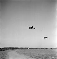 Asisbiz Junkers Ju 87D5 Stuka 1.SG3 S7+EH lifts off from Immola 2nd Jul 1944 01