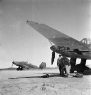 Asisbiz Junkers Ju 87D5 Stuka 1.SG3 S7+LH warming up at Immola 2nd Jul 1944 01