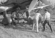 Asisbiz Junkers Ju 87D5 Stuka 1.SG3 S7+MH being rearmed at Immola 28th Jun 1944 02