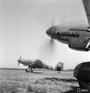 Asisbiz Junkers Ju 87D5 Stuka 2.SG3 S7+FK taxing Immola 28th Jun 1944 01