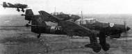 Asisbiz Junkers Ju 87B Stuka II.StG1 (6G+U) over eastern front 01