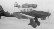 Asisbiz Junkers Ju 87B Stuka StG1 6G+ +G50 65