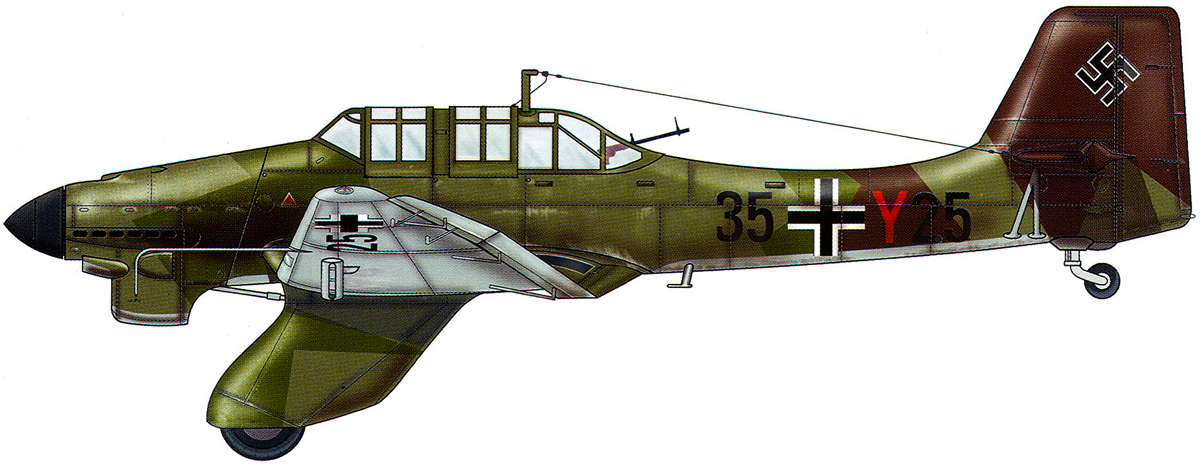 Junkers Ju 87A Stuka 5.StG163 (35+Y25) Silesia Germany 1939 profile 0A
