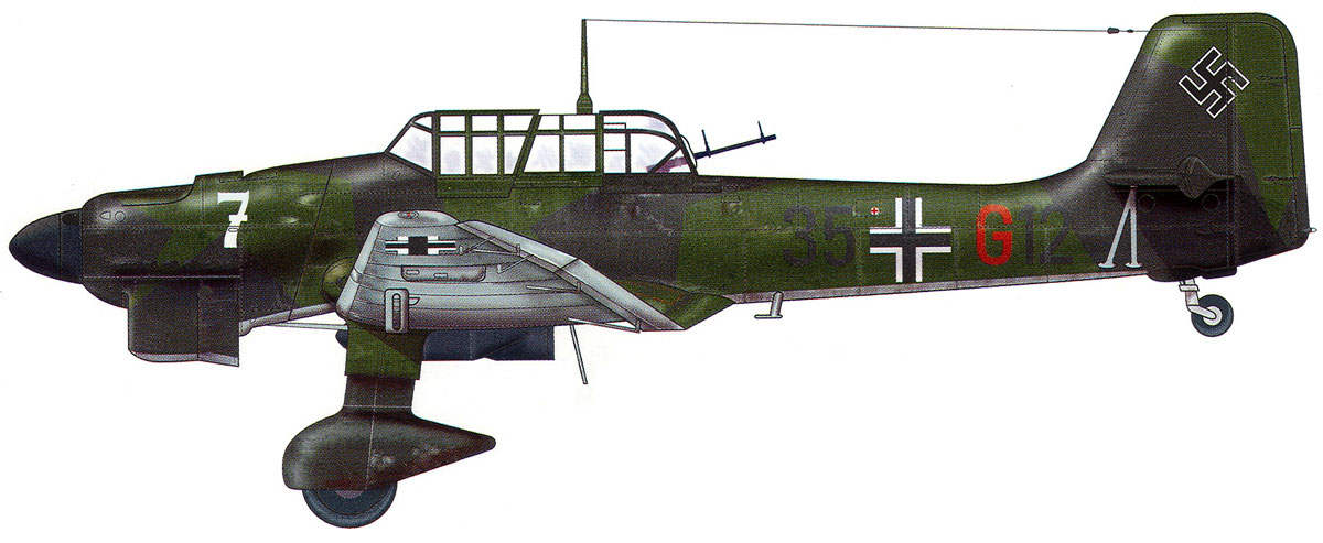 Junkers Ju 87B1 Stuka 2.StG163 (35+G12) Cottbus Germany 1939 profile 0A