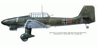 Asisbiz Junkers Ju 87B1 Stuka 2.StG163 35+G12 Cottbus Germany 1939 profile 0C