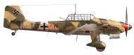 Asisbiz Junkers Ju 87R2 Stuka 5.StG2 (T6+AN) Tmimi Libya 1941 0C