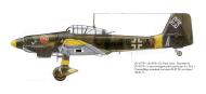 Asisbiz Junkers Ju 87D3 Stuka 5.StG2 T6+AN Lt Gunther Schmid named Barli Russia 1942 0B