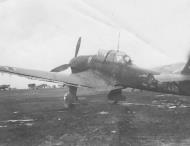 Asisbiz Junkers Ju 87B2 Stuka 7.SG2 (T6+FR) 1941 01