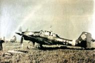 Asisbiz Junkers Ju 87D1 Stuka 6.StG2 T6+AO Staffelkapitan taxing out for another mission 01