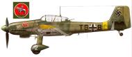 Asisbiz Junkers Ju 87D1 Stuka Stab II.StG2 (T6+BC) WNr 2491 Mietze Stalino Ukraine 1942 0A