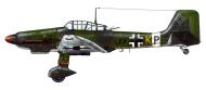 Asisbiz Junkers Ju 87D1 Stuka 6.StG3 S7+KP Tunisia 1943 0A