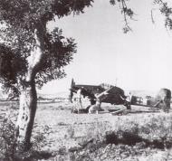 Asisbiz Junkers Ju 87D3Trop Stuka 5.StG3 S7+JN Tunisia 1943 01