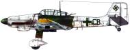 Asisbiz Junkers Ju 87D5 Stuka 1.StG5 L1+CB previously from IV.(St)LG1 Czechoslovakia 1943 0A