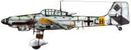Asisbiz Junkers Ju 87D5 Stuka 1.StG5 L1+CH previously from IV.(St)LG1 Belorussia 1942 43 0A