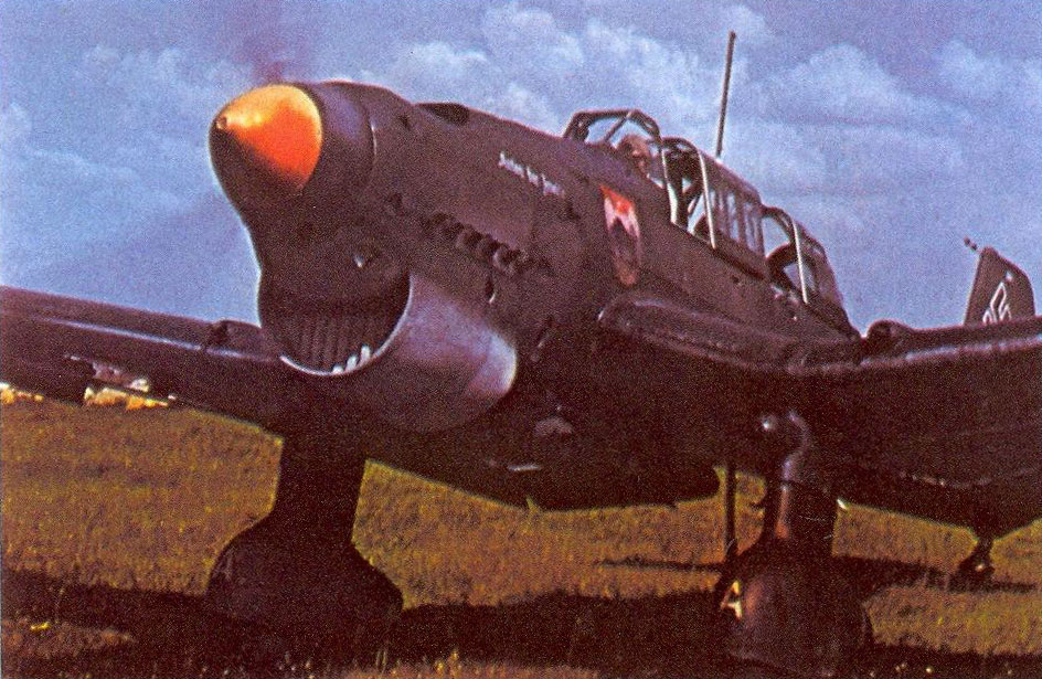 Junkers Ju 87B1 Stuka 6.StG77 (S2+AP) Staffelkapitan France 1940 03