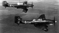 Asisbiz Junkers Ju 87B2 Stuka 7.StG77 F1+AM and F1+KM Balkans 1941 42 01