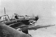 Asisbiz Junkers Ju 87B1 Stuka Stab II.StG77 S2+AC Alfons Orthofer Germany 1939 01
