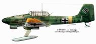 Asisbiz Junkers Ju 87B21U4 Stuka V.StG77 F1+DJ on skies 1941 0A