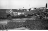 Asisbiz Junkers Ju 87D3 Stuka 4.StG77 (S2+NM) Wanderer 1942 01