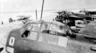 Asisbiz Junkers Ju 88D1 2.(F)Aufkl22 nose profile view showing the groups emblem Russia 01