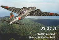 Asisbiz IL2 IM Mitsubishi Ki 21 II 1Sentai 2Chutai Philippines 1942 V00