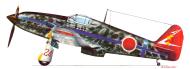 Asisbiz Artwork Tony Ki 61 244 Sentai R24 Blue Tembico Kobayashi 14 kills Japan 1945 0A