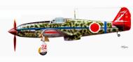 Asisbiz Artwork Tony Ki 61 244 Sentai R24 Blue Tembico Kobayashi 14 kills Japan 1945 0E
