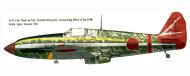 Asisbiz Artwork Tony Ki 61 244 Sentai R24 White Tembico Kobayashi Japan 1945 0A