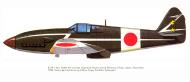 Asisbiz Artwork Tony Ki 61 I Kai 244 Sentai Brown Tembico Kobayashi Chofu Japan 1944 0A