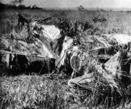 Asisbiz 1 Kawasaki Ki 61 Hien 68 Sentai Hombu Capt Akita Ozonaki New Guinea 04