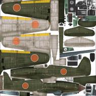 Asisbiz IL2 JP Ki 61 Tony dark green medium weathering