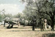 Asisbiz RA Regia Aeronautica Macchi MC200 Saetta 166 Sqadriglie 166 3 Replic 57