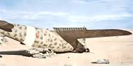 Asisbiz RA Regia Aeronautica Macchi MC200 Saetta 2 Stormo 8 Gruppo CT 94Sqa 91 9 landing mishap 01