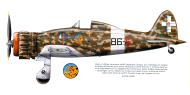 Asisbiz RA Regia Aeronautica Macchi MC200 Saetta 7 Gruppo 86 Sqadriglia 86 5 1941 Replic 149 0A