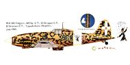 Asisbiz RA Regia Aeronautica Macchi MC202 Folgore 22 Gruppo CT 369Sqa 369 6 Capodichino Naples 0A