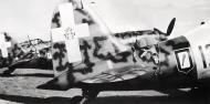 Asisbiz RA Regia Aeronautica Macchi MC202 Folgore 6 Stormo 3 Gruppo CT 153Sqa 153 12 01