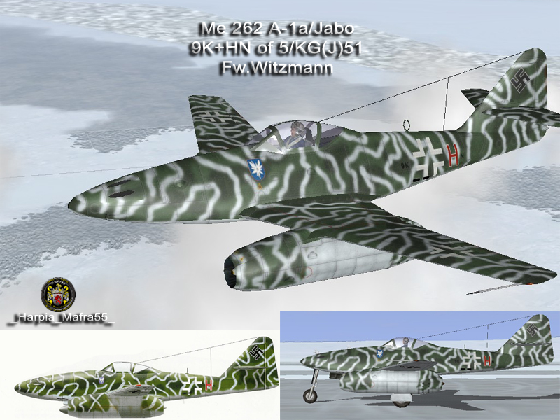 IL2-HM-Me-262A1a-5.KG51-(9K+HN)-Witzmann-Germany-1945-V0A.jpg