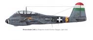 Asisbiz Messerschmitt Me 210C1 Hornisse RHAF 1.102 Z0+65 Hungary 1944 0C