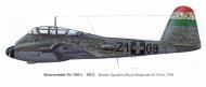 Asisbiz Messerschmitt Me 210C1 Hornisse RHAF 2.102 Z1+09 Hungary 1944 0A