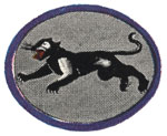 Asisbiz Aircraft Insignia 5AF 8FG35FS