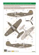 Asisbiz 41 38338 Bell P 39D Airacobra 8FG36FS Q Nips Nemesis II Lt Don C McGee at Milne Bay late 1942 0A