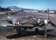 Asisbiz 42 19447 Bell P 39Q Airacobra 4AF 357FS O Saga Boy II at Hamilton Field July 1943 01