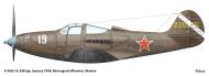 Asisbiz 42 20755 Bell P 39Q Airacobra 438IAP White 19 Ukrainian Front 1944 0A