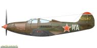 Asisbiz 42 8747 Bell P 39N Airacobra 16GIAP flown by Guard Captain Grigoriy Andreevich Rechkalov Germany Spring 1945 0A