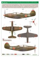 Asisbiz 42 8747 Bell P 39N Airacobra 16GIAP flown by Guard Captain Grigoriy Andreevich Rechkalov Germany Spring 1945 0B