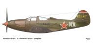 Asisbiz 42 8747 Bell P 39N Airacobra 16GIAP flown by Guard Captain Grigoriy Andreevich Rechkalov Germany Spring 1945 0D