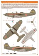 Asisbiz 42 9300 Bell P 39N Airacobra 21GvIAP Nikolai G Sobolev in Russia Apr 1943 0B (2)