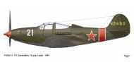 Asisbiz 44 2498 Bell P 39Q Airacobra 72GvIAP 5GIAD White 21 Pavel Filippovich Zavarukhin Leningrad Front 1944 0A