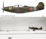 Asisbiz 44 2567 Bell P 39Q Airacobra 68GvIAP 5GIAD White 67 Belorussian and Leningrad Fronts 1944 0A