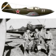 Asisbiz 44 32286 Bell P 39Q Airacobra 213GvIAP 22GIAD White 77 Ukrainian Front 1944 0A